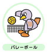 バレーボール